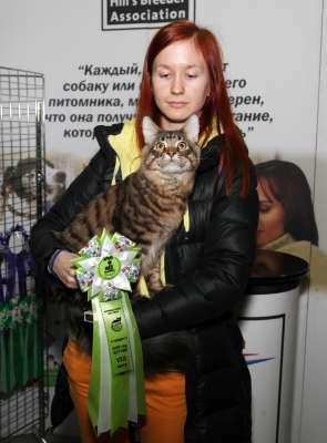 �������� ����� '������� ���-�����' 30 ������-1 ������� 2013., WCF-����� 3070